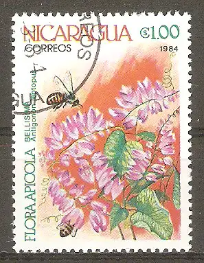 Briefmarke Nicaragua Mi.Nr. 2493 o Blumen 1984 / Korallenwein (Antigonon leptopus) #