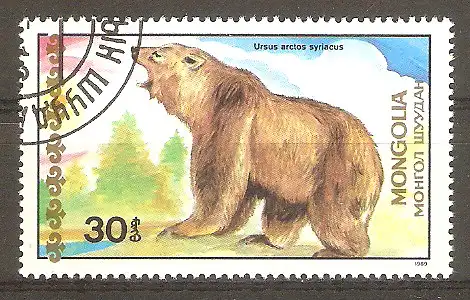 Briefmarke Mongolei Mi.Nr. 2033 o Bären 1989 / Syrischer Bär (Ursus arctos syriacus) #