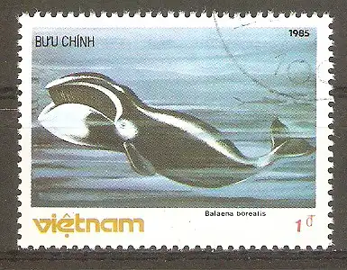 Briefmarke Vietnam Mi.Nr. 1626 o Säugetiere des Meeres 1985 / Seiwal (Balaenoptera borealis) #