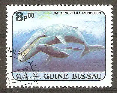 Briefmarke Guinea-Bissau Mi.Nr. 805 o Wale1984 / Blauwal (Balaenoptera musculus) #