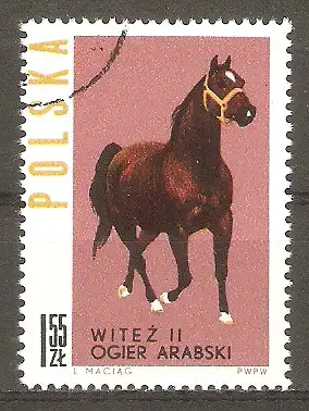 Briefmarke Polen Mi.Nr. 1453 o Pferde 1963 / Arabischer Hengst „Witez ll“ #