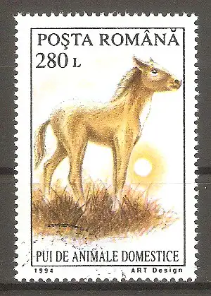 Briefmarke Rumänien Mi.Nr. 5058 o Junge Haustiere 1994 / Pferde Fohlen #