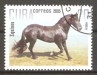 Briefmarke Cuba Mi.Nr. 4736 o Pferde 2005 / Araber #