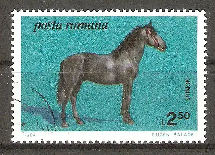 Briefmarke Rumänien Mi.Nr. 4080 o Pferderassen aus rumänischen Gestüten 1984 / Nonius-Pferd aus dem Gestüt Izvin #