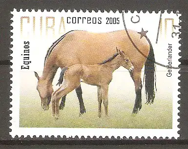 Briefmarke Cuba Mi.Nr. 4735 o Pferde 2005 / Gelderländer mit Fohlen #
