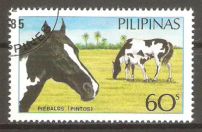 Briefmarke Philippinen Mi.Nr. 1670 o Pferde 1985 / Pinto #