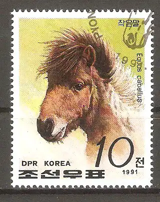 Briefmarke Korea-Nord Mi.Nr. 3230 o Pferderassen 1991 / Hauspferd #