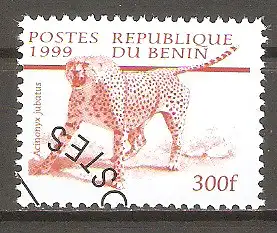 Briefmarke Benin Mi.Nr. 1141 o Einheimische Säugetiere 1999 / Gepard (Acinonyx jubatus) #