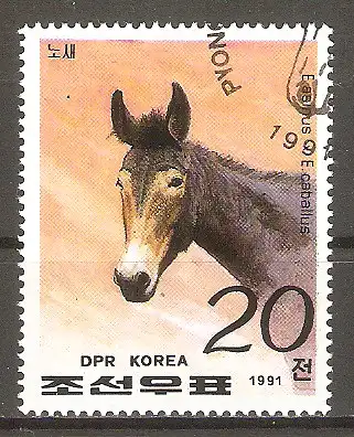 Briefmarke Korea-Nord Mi.Nr. 3231 o Pferderassen 1991 / Maultier #