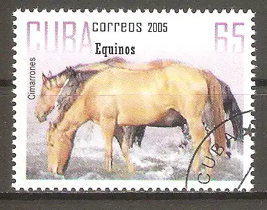 Briefmarke Cuba Mi.Nr. 4738 o Pferde 2005 / Cimarrones #