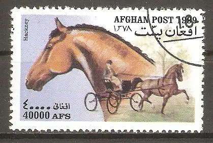 Briefmarke Afghanistan Mi.Nr. 1906 o Pferde 1999 / Hackney #