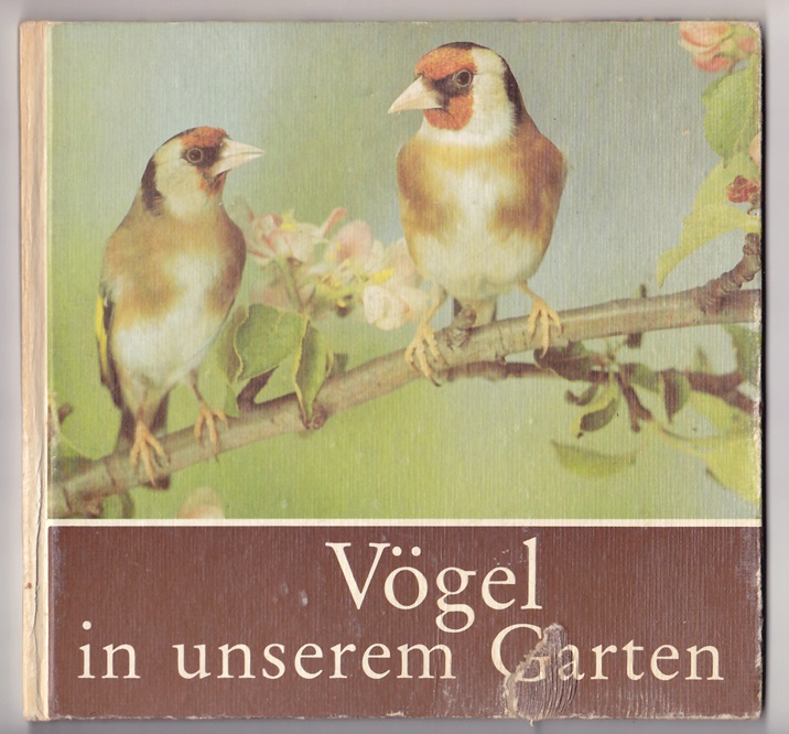 Vogel In Unserem Garten Helmut Massny Nr Oid 37728925 Oldthing Kinderbucher