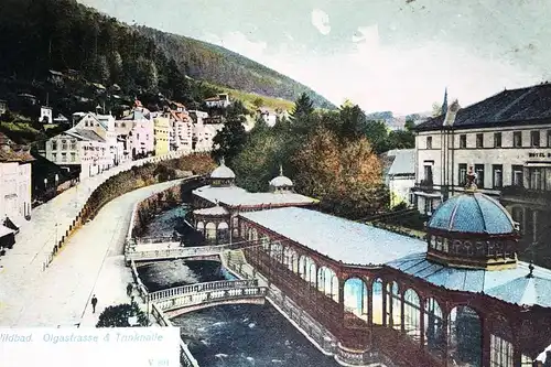 AK Wildbad Olgastrasse und Trinkhalle