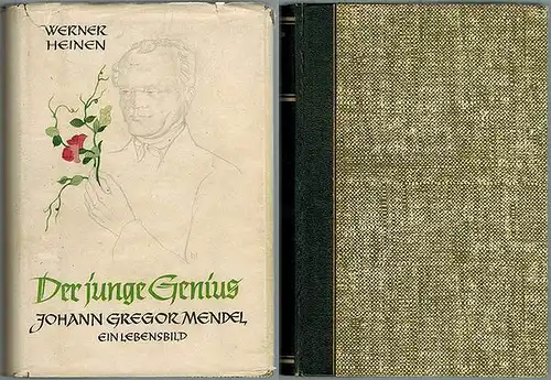 Heinen, Werner: Der junge Genius. Johann Gregor Mendel. Ein biographischer Roman. Umschlag und Tafeln von Tony Heinen
 Essen, Verlag Industriedruck, ohne Jahr [1941]. 