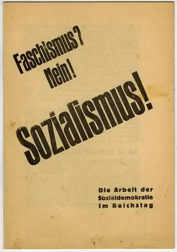 Hauschildt, R. (Hg.): Faschismus? Nein! Sozialismus! Die Arbeit der Sozialdemokratie im Reichstag
 Berlin, Volksblatt-Druckerei Spandau, 28. 12. 1930. 