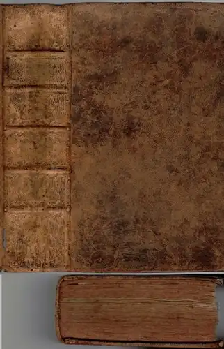 Cranz, David: Historie von Gröland enthaltend Die Beschreibung des Landes und der Einwohner etc. insbesondere die Geschichte der dortigen Mission der Evangelischen Brüder zu Neu.. 