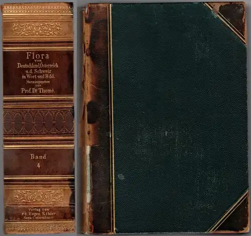 Thomé: Thomé's Flora von Deutschland, Österreich und der Schweiz in Wort und Bild für Schule und Haus. Band IV. Mit 55 Tafeln in Farbendruck. Neue Subscription
 Gera-Untermhaus, Verlag von Fr. Eugen Köhler, (November 1888).