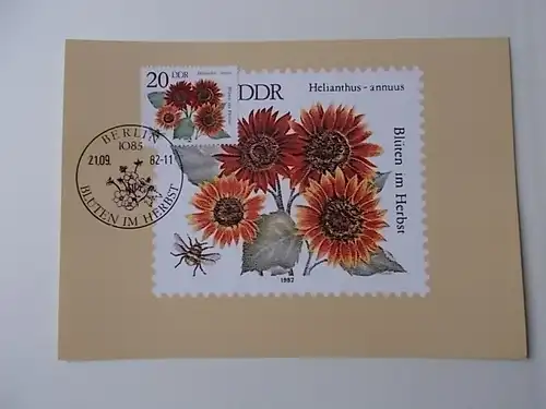 DDR Nr 2740 Maximumkarte