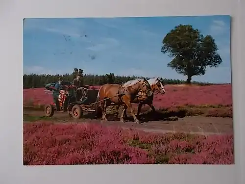 Kutschwagenfahrt in der Lüneburger Heide gelaufen 1990