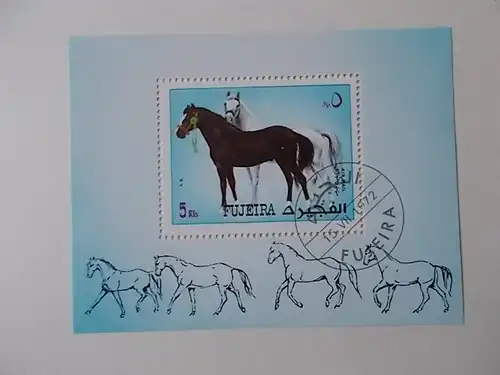 Fujeira Block Pferde