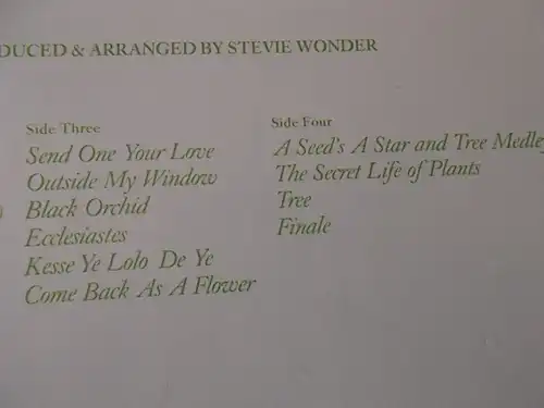 Stevie Wonder: Journey Through The Secret Life Of Plants
Doppel LP