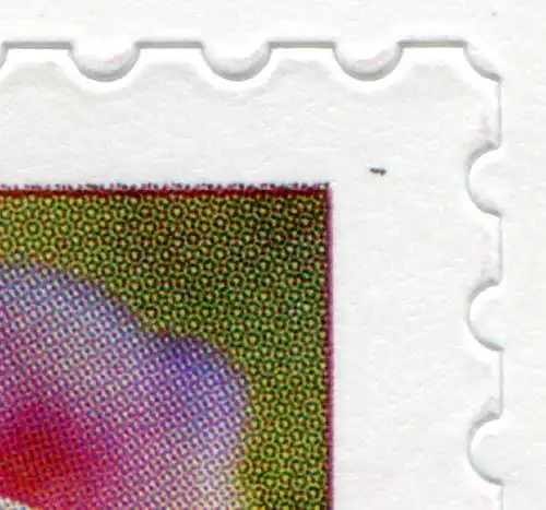FB 87 Blume Phlox, Folienblatt mit MDF Fleck in Bildecke rechts oben, Feld 7, **