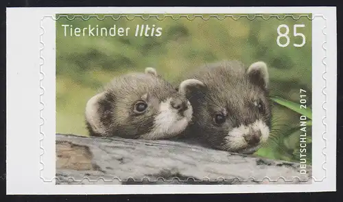 3294 Tierkinder - Iltis, selbstklebend aus Folienblatt 64, **