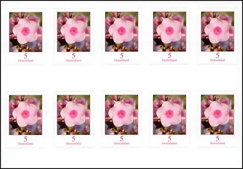 FB 87 Blume Phlox, Folienblatt mit 10x 3459, postfrisch **
