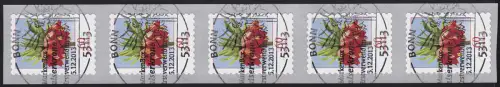3046 Fleur 60 cents sk 5 bandes de 500 rouleaux GERADE numéro, EV-O Bonn