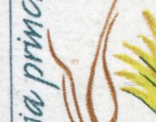 2804 Kakteen 20 Pf. OR-Paar mit PLF brauner Fleck, Feld 6, ESSt Berlin
