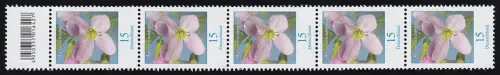 3424 Wiesenschaumkraut 15 Cent, 5er-Streifen mit Codierfeld, große Nr. **