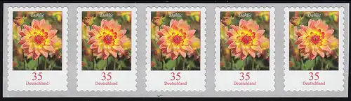 2514 Dahlie 35 Cent 2018 sk 5er-Streifen aus 10000er UNGERADE Nummer **