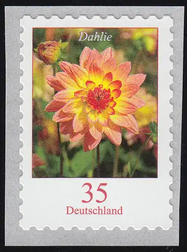 2514 Dahlie 35 centimètre horizontal sk de 10000, numéro UNGERADE **