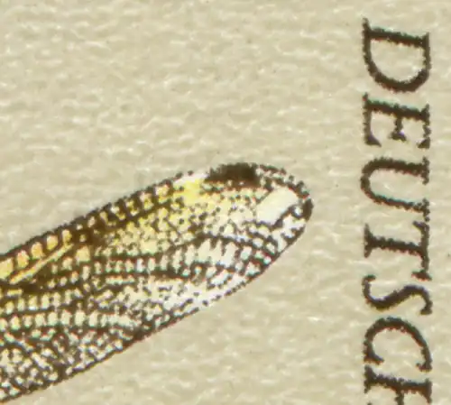 1546I Plattbauch-Libelle mit PLF I Flügelbruch oben rechts, Feld 27 **