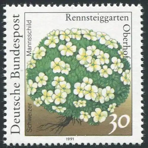 1505 Rennsteig 30 Pf, PLF grüner Punkt im Blütenblatt, Felder 25,27,29,31 **