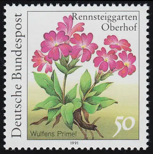 1506F Rennsteiggarten Wulfens Primel 50 Pf. OHNE Fluoreszenz, Papier-Abart **