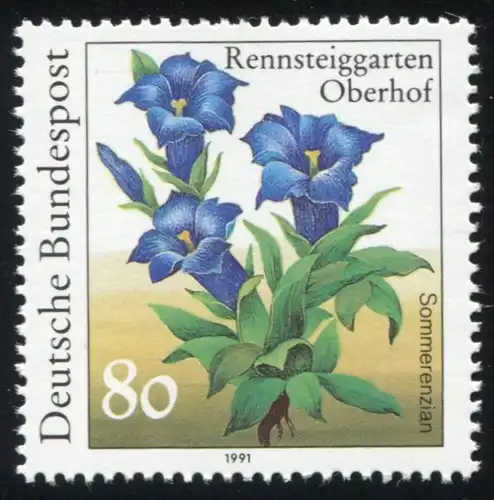 1507I Rennsteig 80 Pf, PLF I roter Fleck im Blattwinkel der rechten Blüte, **