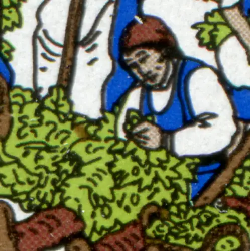 1999I Culture du houblon avec PLF I tache brune dans le houblon, case 1, **