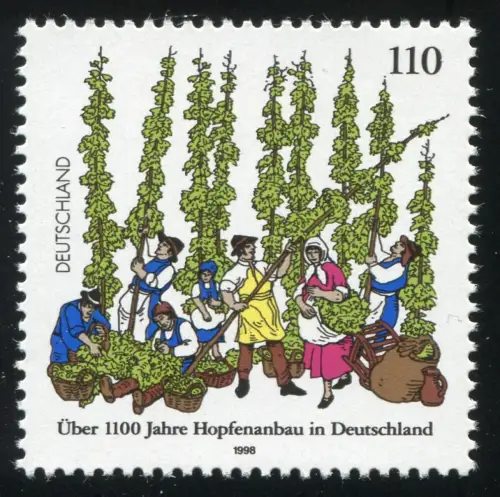 1999I Culture du houblon avec PLF I tache brune dans le houblon, case 1, **