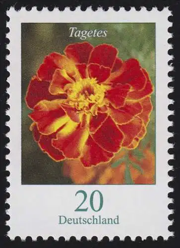 2471A Blumen 20 C Hohe Studentenblume (Tagetes), postfrisch **