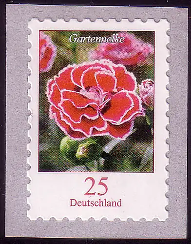 2699 Blumen 0,25 C Gartennelke SELBSTKLEBEND, postfrisch **