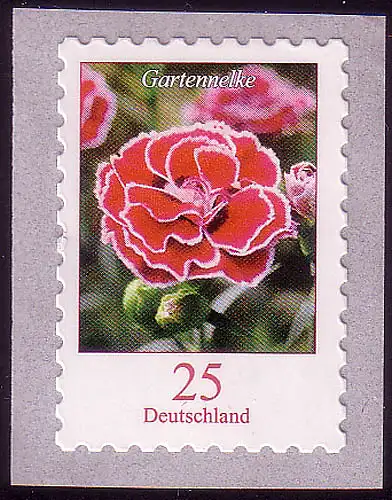 2699 Blumen 0,25 C Gartennelke SELBSTKLEBEND **