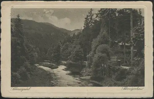 Carte de vue Schwarzatal/Thür. Maison suisse, Brotterode/Smallkalden 25.5.29