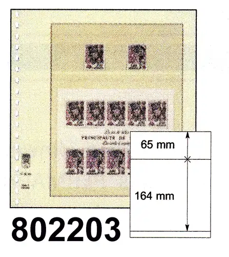 LINDNER-T-Blanko-Blätter Nr. 802 203 - 10er-Packung