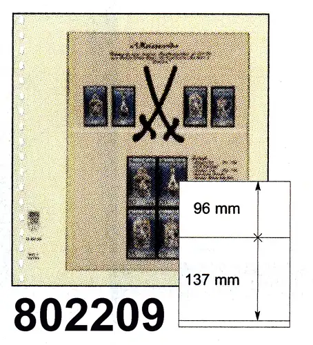 LINDNER-T-Blanko-Blätter 802 209 - 10er-Packung