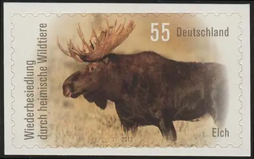 2922 Animaux sauvages: élan auto-adhésif sur film neutre, **