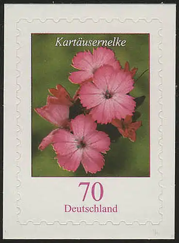 2716 Blume 70 C SELBSTKLEBEND auf neutraler Folie, **