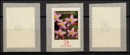 3094 Mille gousses d'or - 3 numéros 2, 3 et 4 chiffres, set **