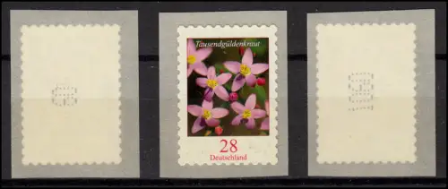 3094 Tausendgüldenkraut 28 Cent sk - 3 Nummernmarken 2, 3 und 4-stellig, Set **