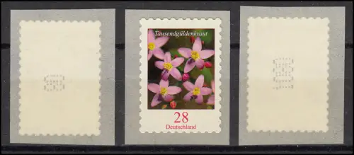 3094 Tausendgüldenkraut 28 Cent sk - 3 Nummernmarken 2, 3 und 4-stellig, Set **